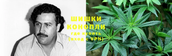 ПСИЛОЦИБИНОВЫЕ ГРИБЫ Осинники