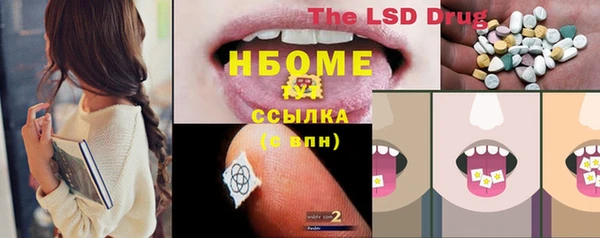 ПСИЛОЦИБИНОВЫЕ ГРИБЫ Осинники