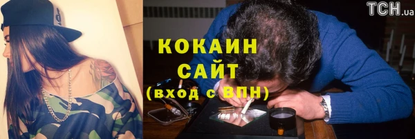 ПСИЛОЦИБИНОВЫЕ ГРИБЫ Осинники