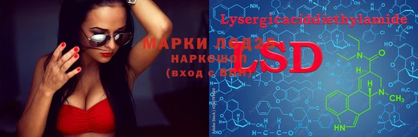 ПСИЛОЦИБИНОВЫЕ ГРИБЫ Осинники