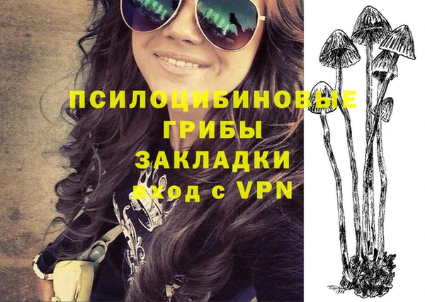 ALPHA PVP Остров