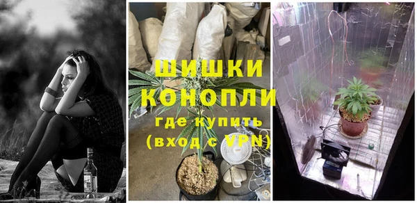 ПСИЛОЦИБИНОВЫЕ ГРИБЫ Осинники