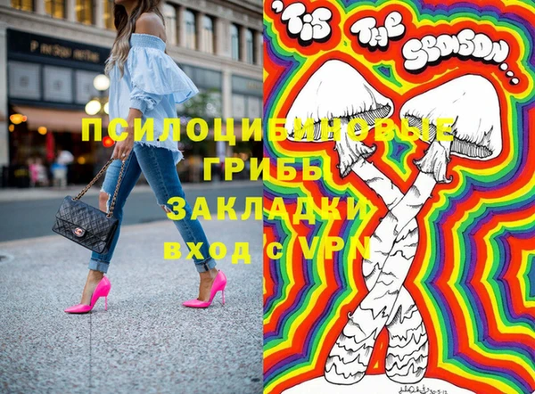 mdpv Санкт-Петербург