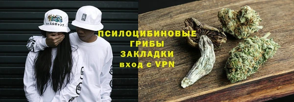 ALPHA PVP Остров