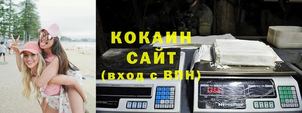 ПСИЛОЦИБИНОВЫЕ ГРИБЫ Осинники