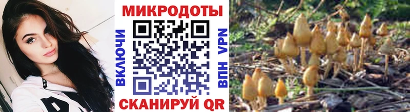 blacksprut сайт  Белёв  Галлюциногенные грибы ЛСД  цены наркотик 